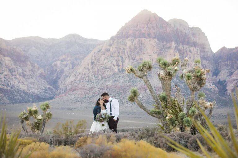 A wedding couple standing in the desert next to Joshua trees