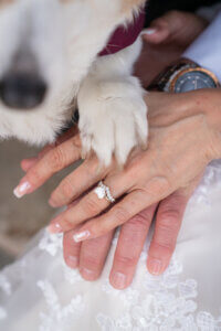 pet friendly weddings with dog paw on human hands