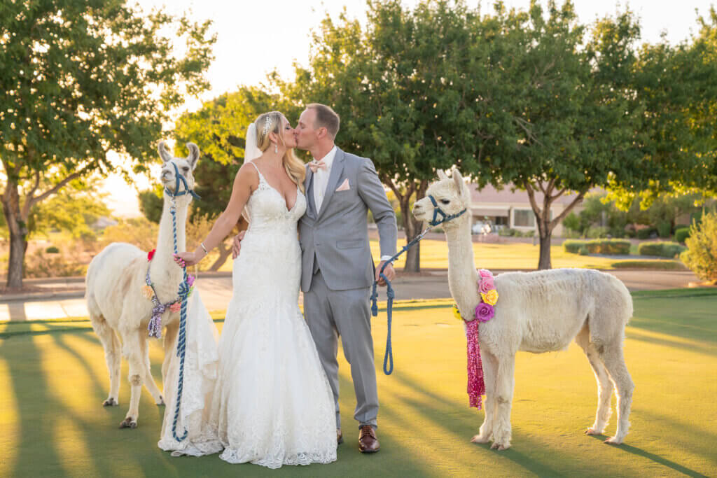 fun pet friendly wedding guests