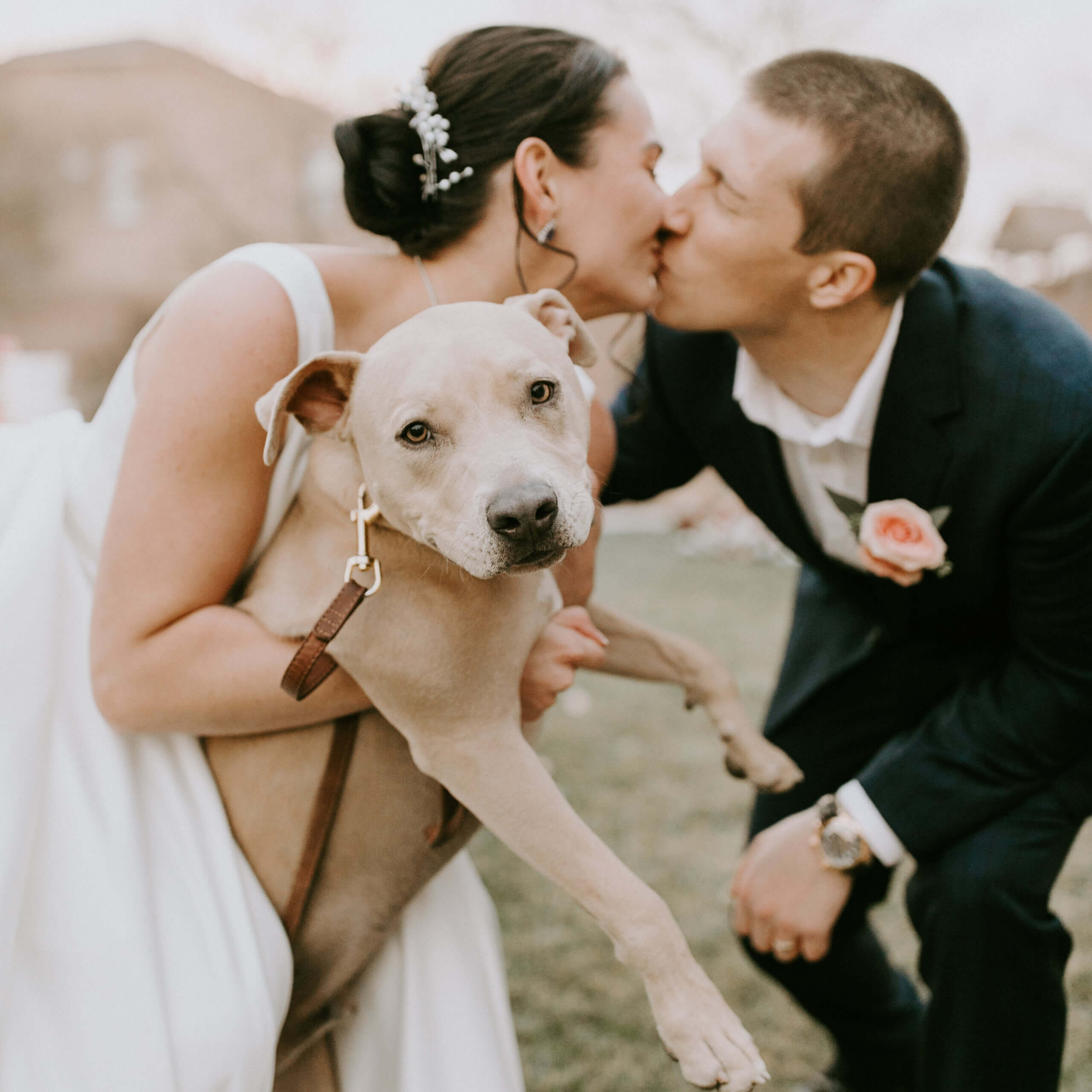 A dog attending one of many pet friendly weddings