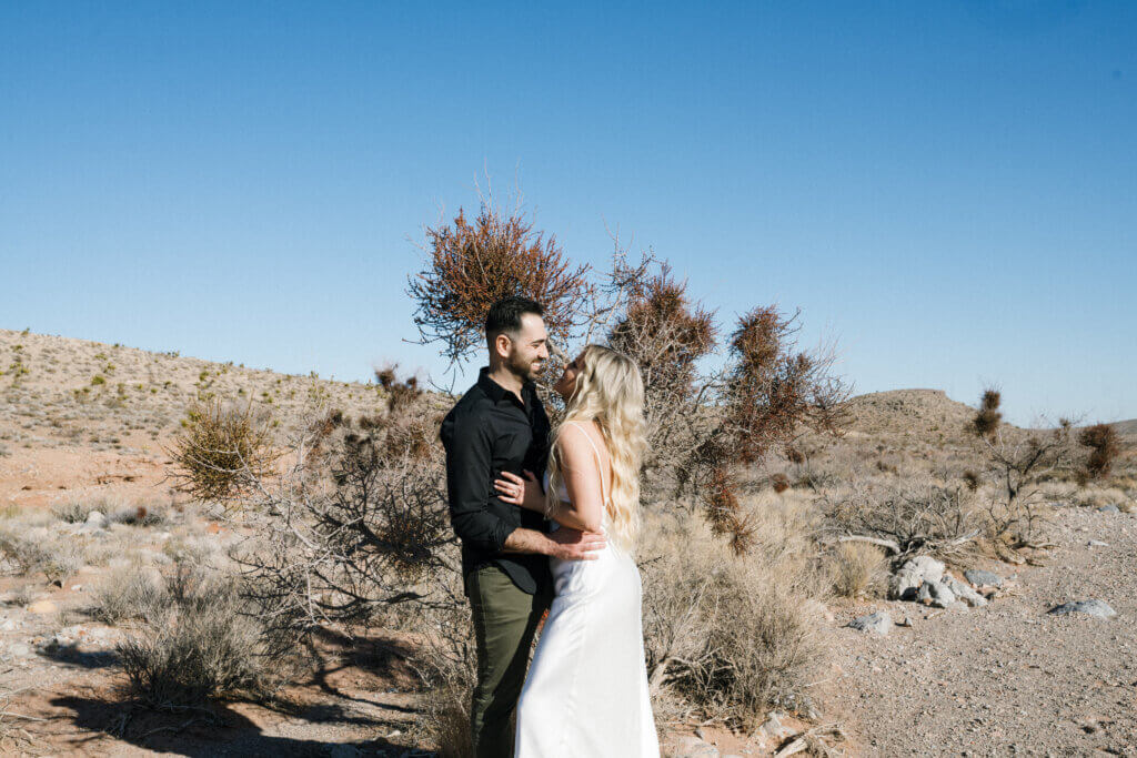 a wedding couple in the desert