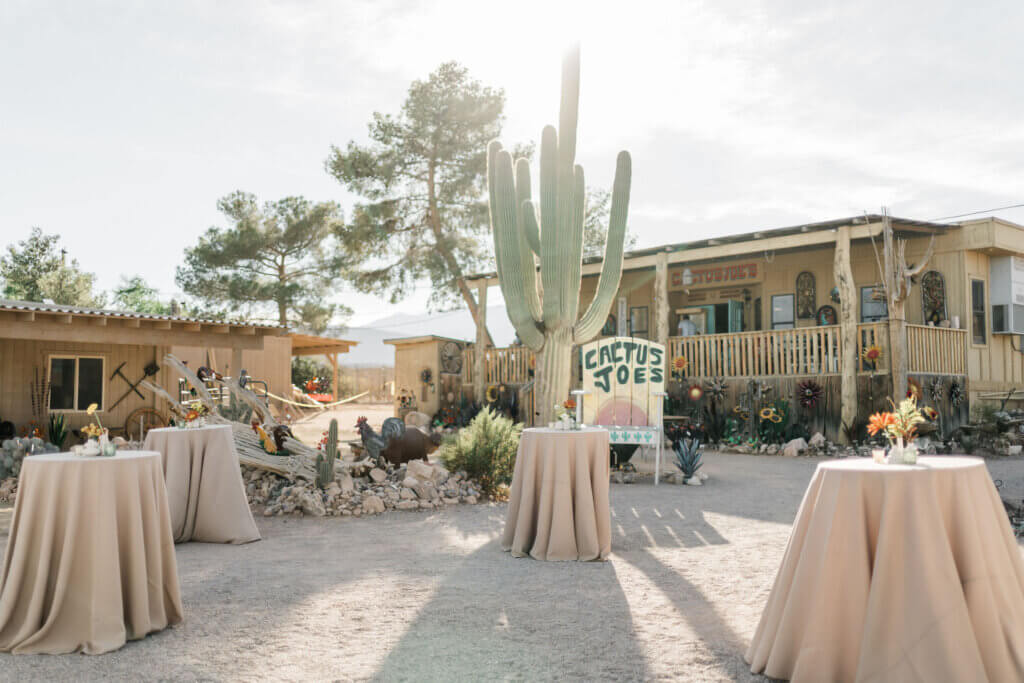 Cactus Joe's unique wedding venue in Nevada